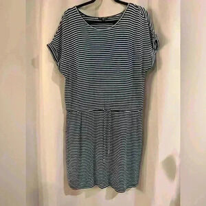 Women’s Blue Striped Hilary Radley Dress